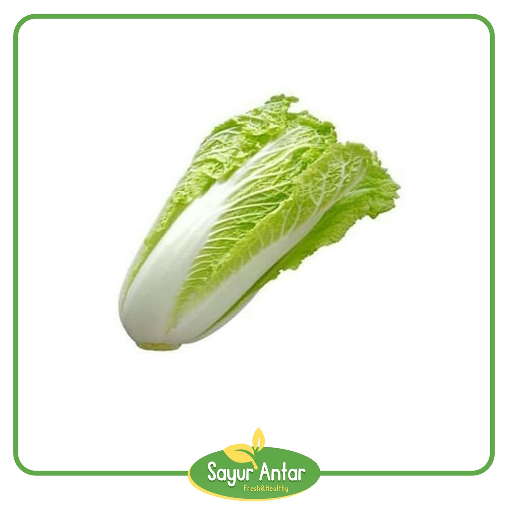 

Pecai 500 gr | Sayur.Antar | Free Ongkir Bandung Cimahi