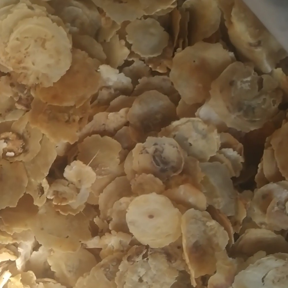 

EMPING BS SISA SORTIR 500 GRAM