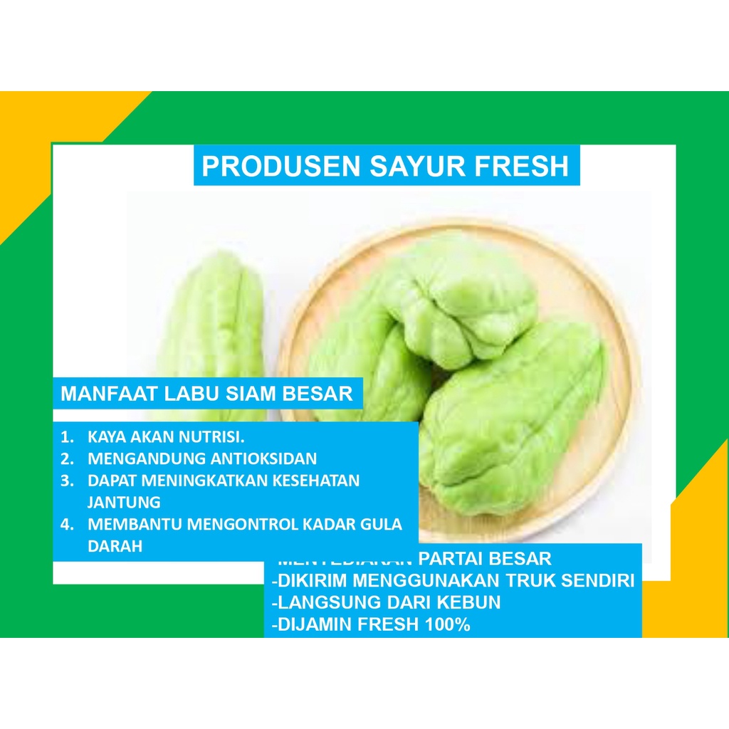 

Labu Siam Besar Fresh Box Langsung Dari Petani