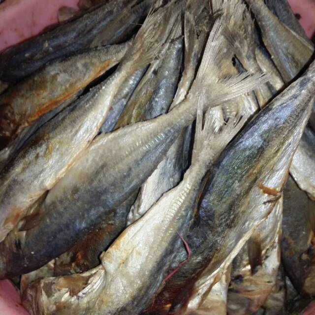 

Asin peda