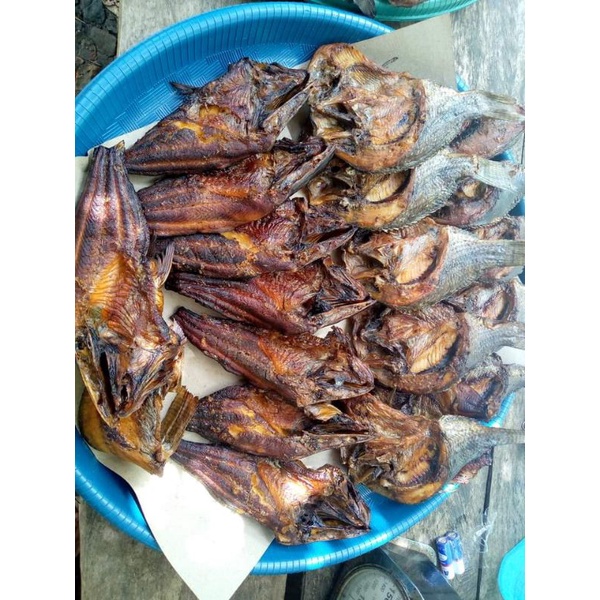 

Ikan Salay