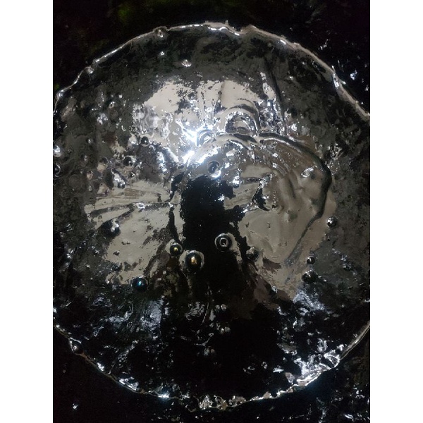 

PETIS UDANG KILOAN NO 1 KUALITAS SUPER 500G