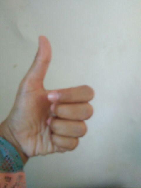 Kemeja Batik Pria Lengan Panjang Nahdhotul Ulama Dengan Logo Nu