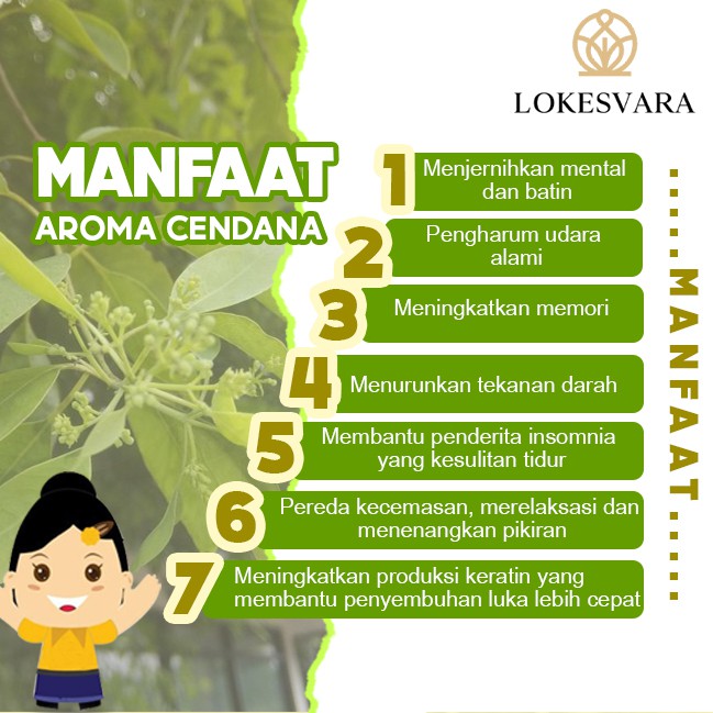 Dupa/Hio Wangi Harum Sukhavati Cendana China 3 Jam 61 Batang 48 cm
