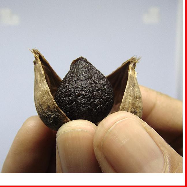 

12.12 BAWANG PUTIH HITAM TUNGGAL 1/4 KG- BAWANG HITAM LANANG -BLACK GARLIC