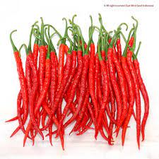

CABE-CABAI-MERAH-KERITING