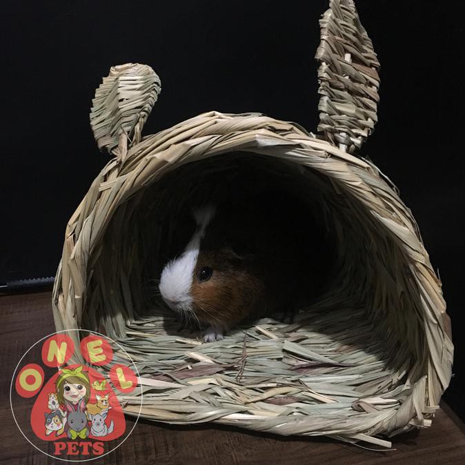 TIMOTHY TUNNEL MAINAN KELINCI RUMAH KELINCI TOYS