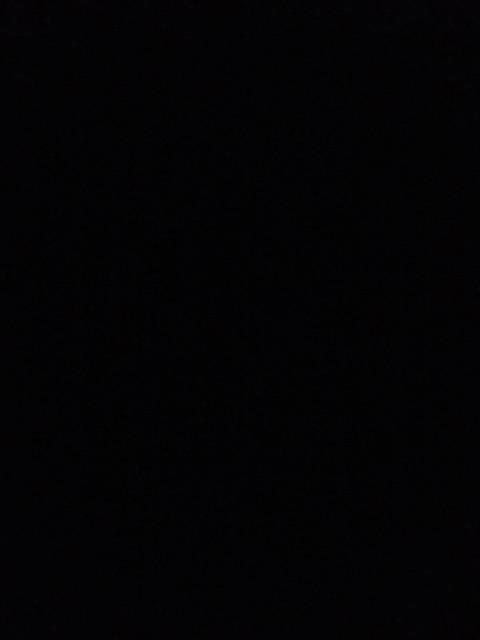 Sikat Lantai / Tile Brush 111 Br-2 Lion Star