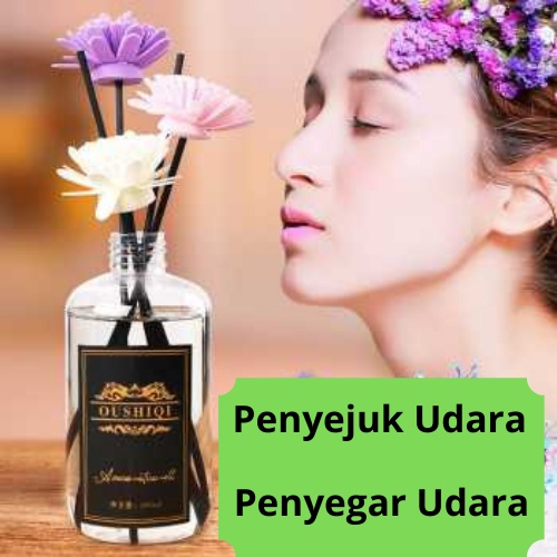 Air Purifer/Penyejuk Udara/penyegar Udara/Pewangi Udara/Aromatherapy