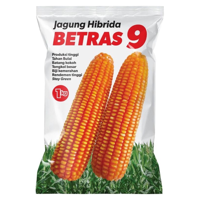 Benih Bibit Jagung Hibrida BETRAS 9/isi 1kg