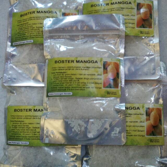 

BOSTER MANGGA