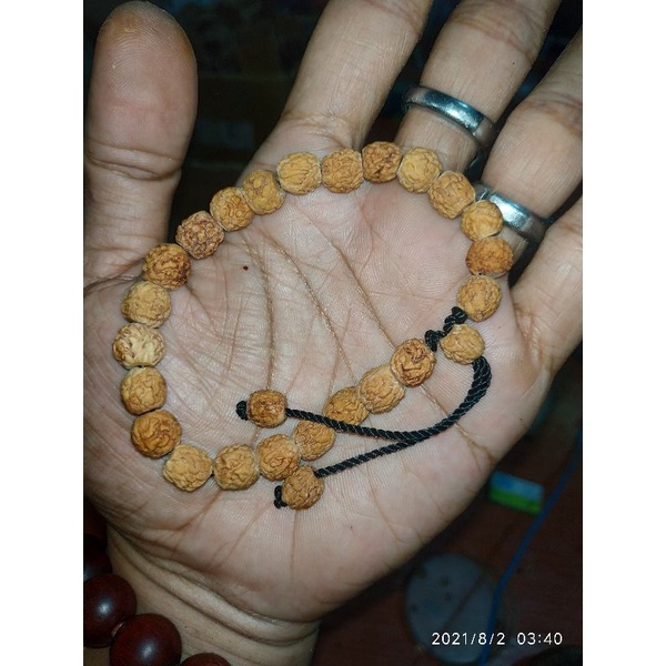 PROMO  Gelang biji bidara asli Bidara Arab / Sidr