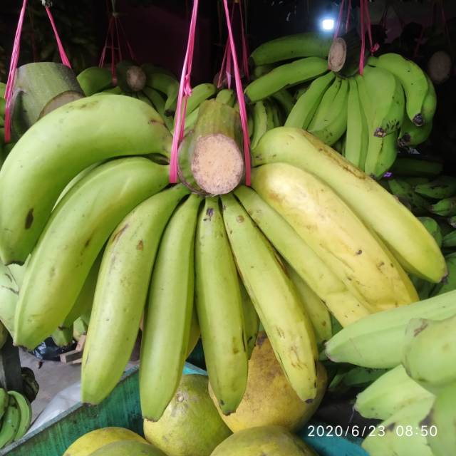 

Pisang Ambon manis 1sisir Berat kurang lebih 1.5 kilo