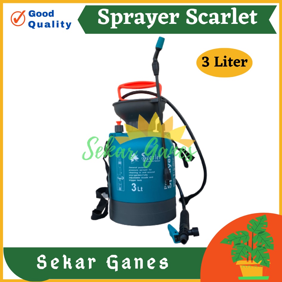 TANGKI SPRAYER SCARLET 3 LITER ALAT SEMPROT PRESSURE Semprot Pertanian Tanaman Rumput Air Hama - Alat Semprot Desinfektan Hama Air Semprotan 5 liter Sprayer 5liter 5L Alat Semprot Desinfektan Hama Air 5 l litre Disinfectant Spray Termurah Bahan Bagus