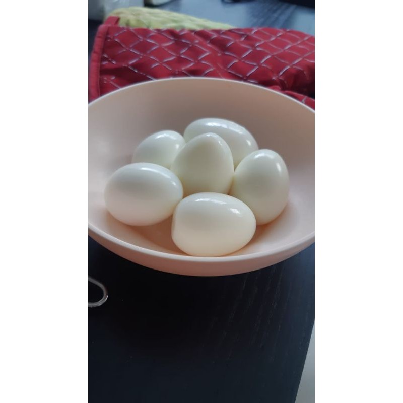 

telur ayam kampun OMEGA 30 bh/jaga stamina/telur sehat/telur kampung/telur puyuh/ omega/telur asin