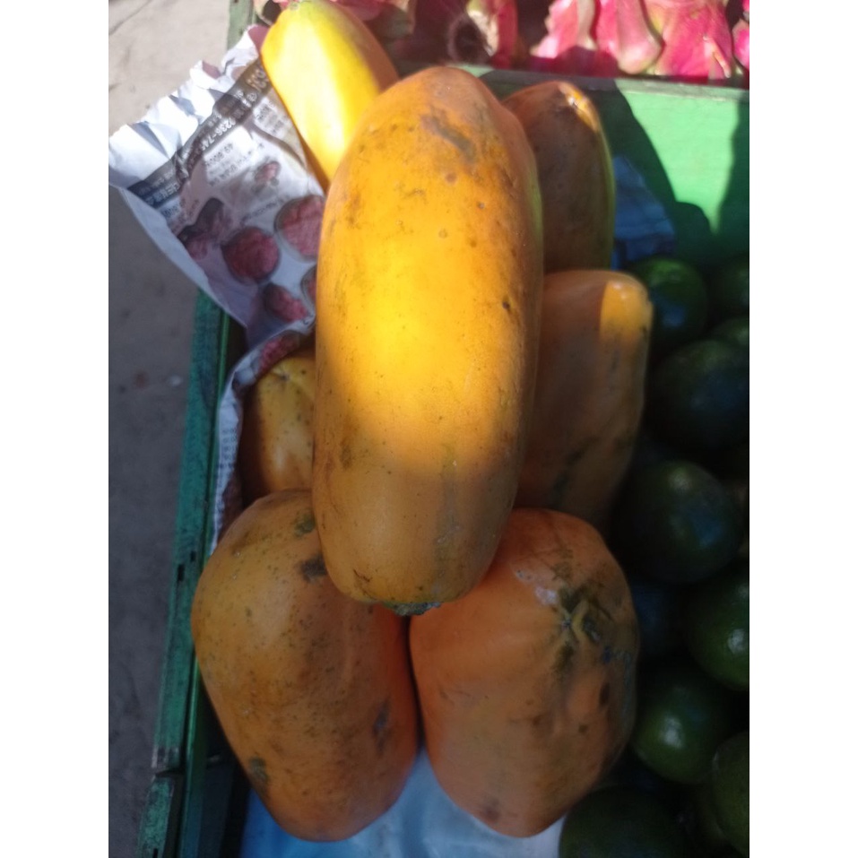 

Buah Pepaya/Buah