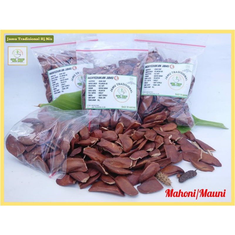 

BIJI MAHONI/MAUNI/Maoni High Quality