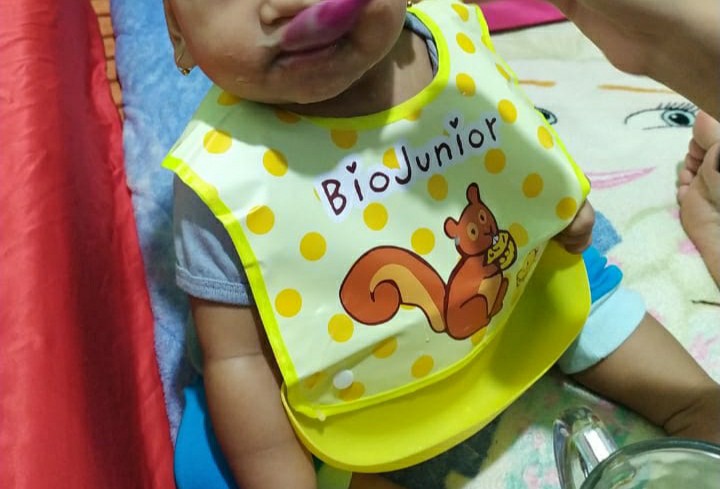 Celemek Makan Anti Air
