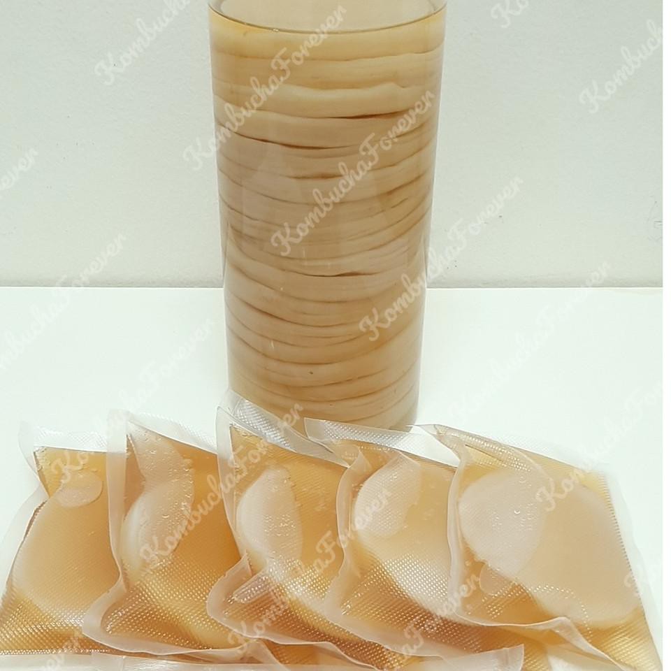 

Ready YKAWU Bibit Scoby Jamur Kombucha Premium Organik 91 Harga Termurah