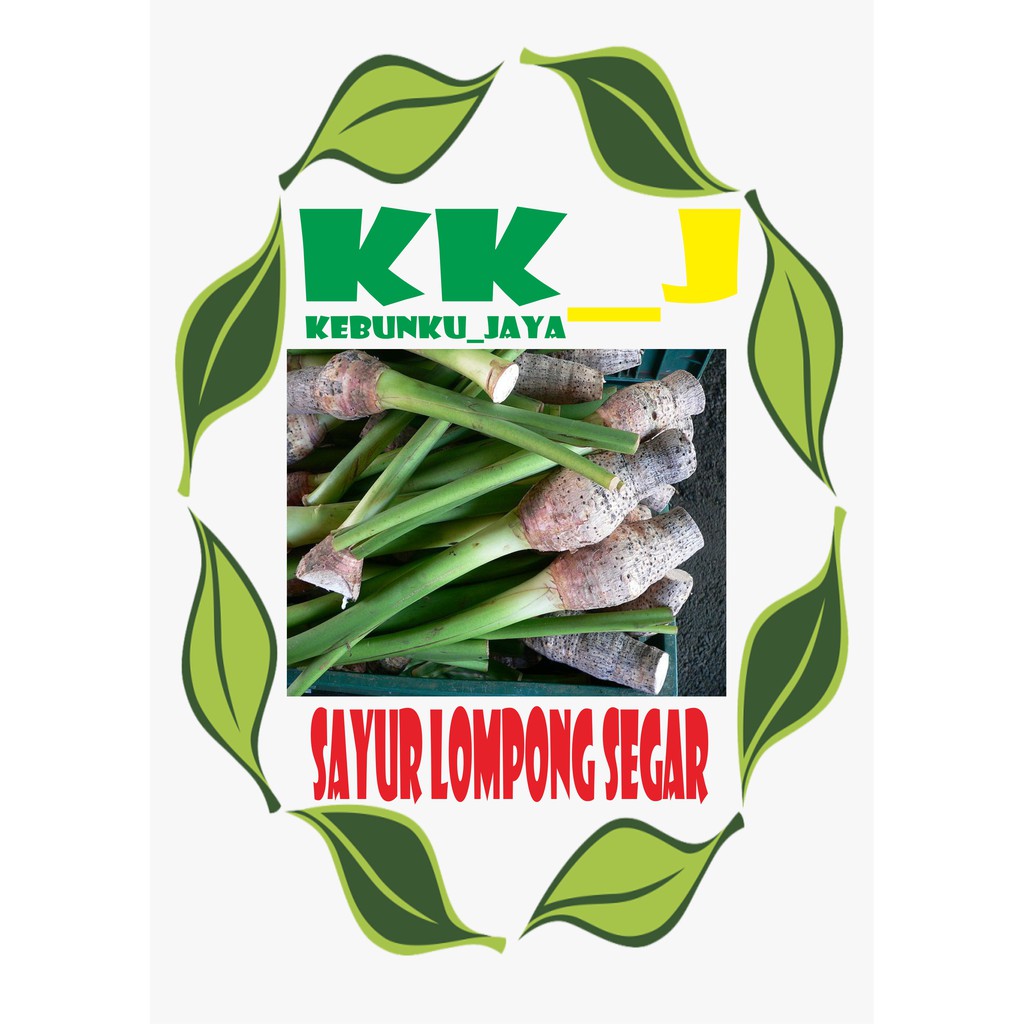 

SAYUR LOMPONG SEGAR 1KG MURAH KEBUNKU_JAYA