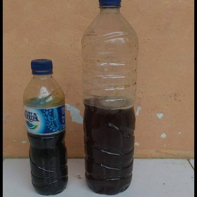 

JUAL MADU LEBAH ASLI 100% TIDAK ASLI UANG KEMBALI