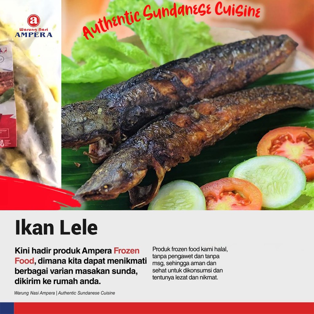 

Ikan Lele Isi 5