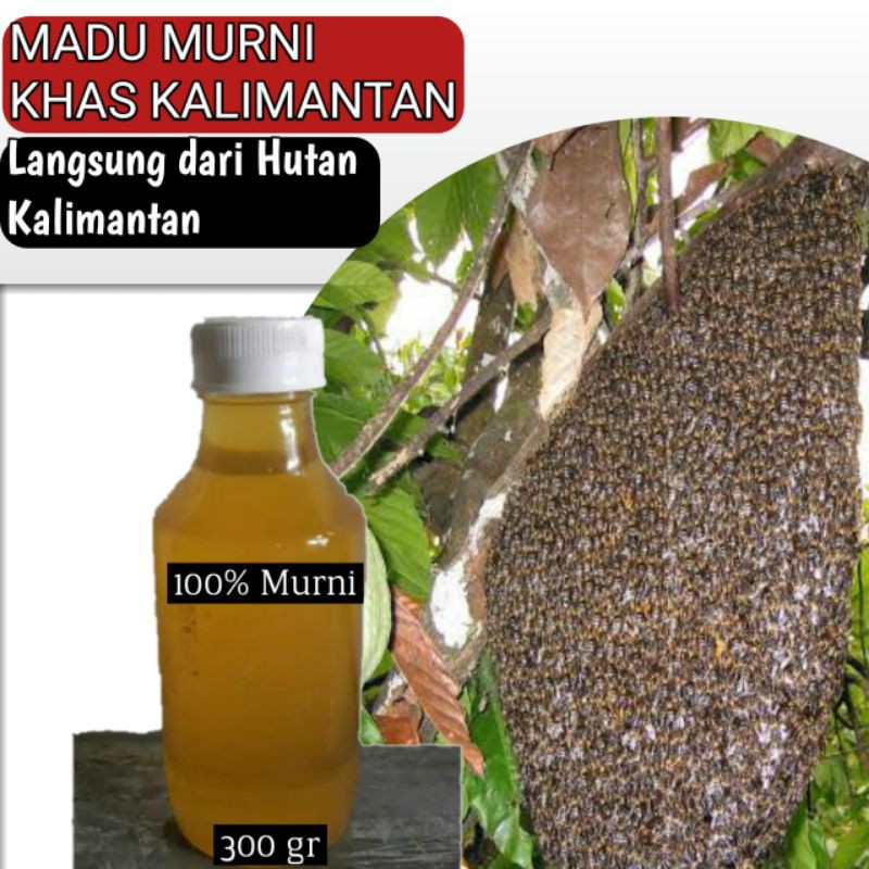 

MADU MURNI KHAS KALIMANTAN / 300gr