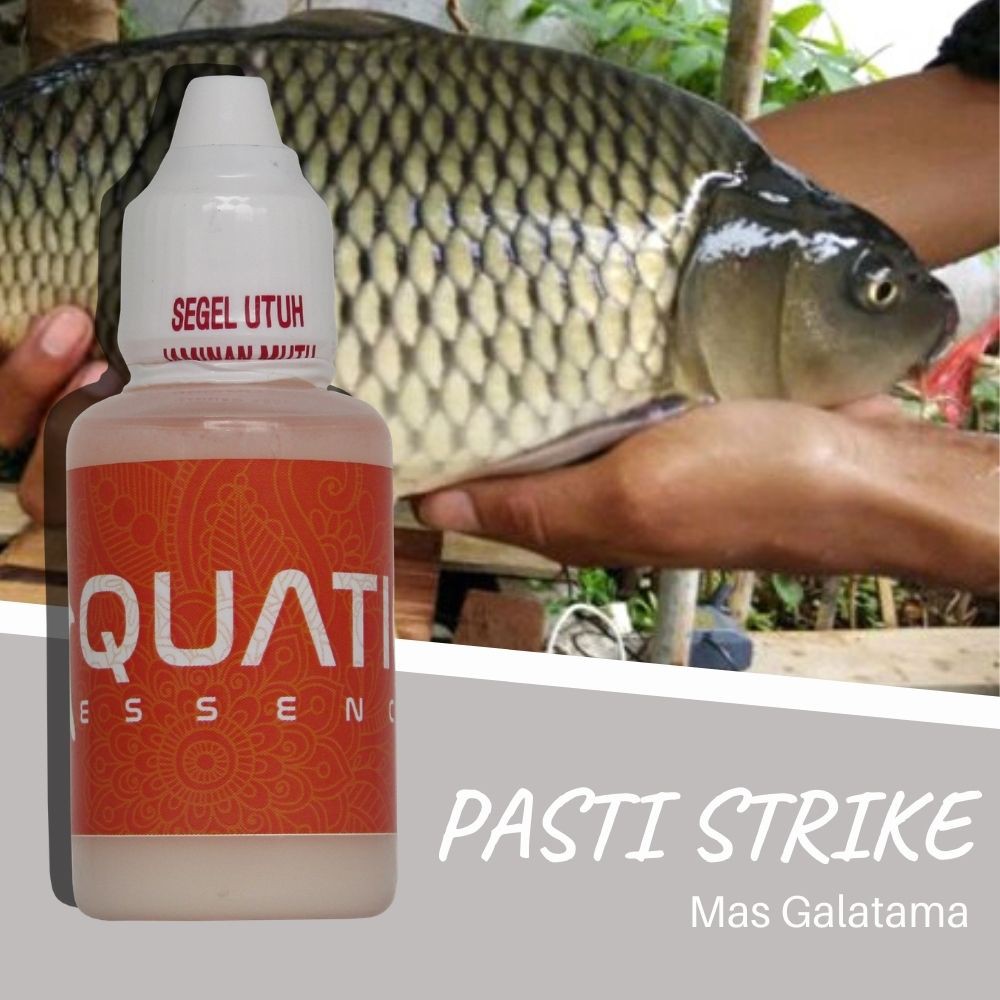 Essen Aquatic Ikan Mas Galatama Terlaris Paling Jitu Cocok Babon Rame Indukan