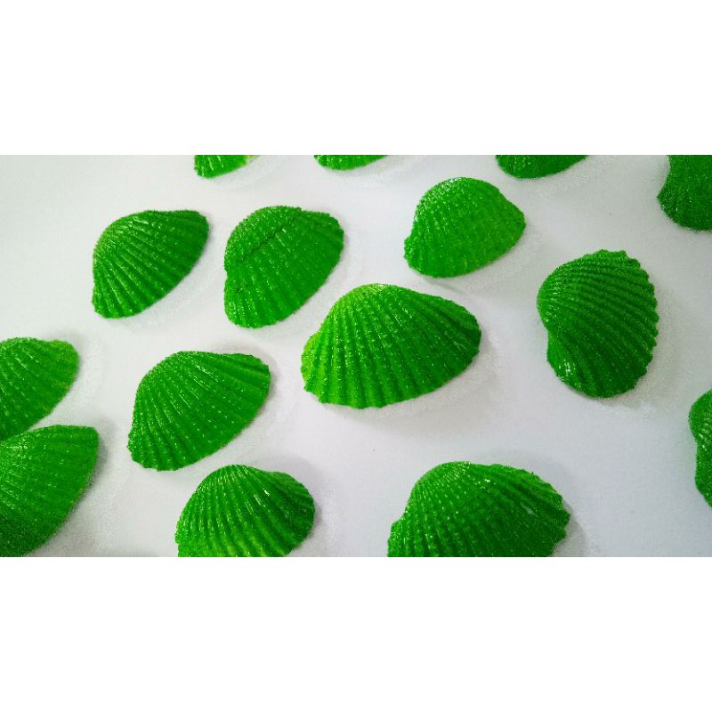 

Cangkang tiram hijau isi 50 pcs