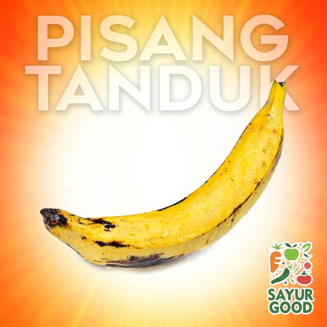 

Pisang Tanduk / Buah Pisang Tanduk / 1 Pcs