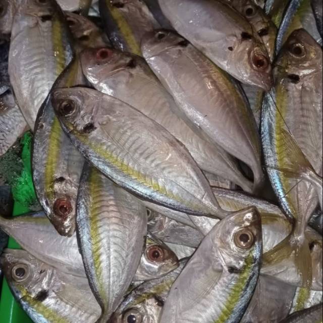 

Ikan selar 500gram