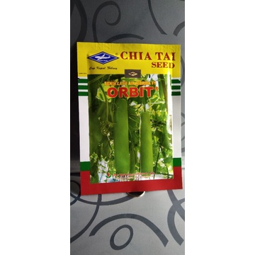 benih labu air/labu putih