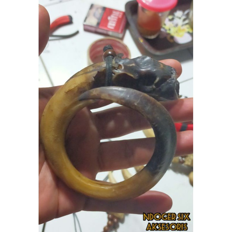 

taring babi mati ngurak ukuran sedang