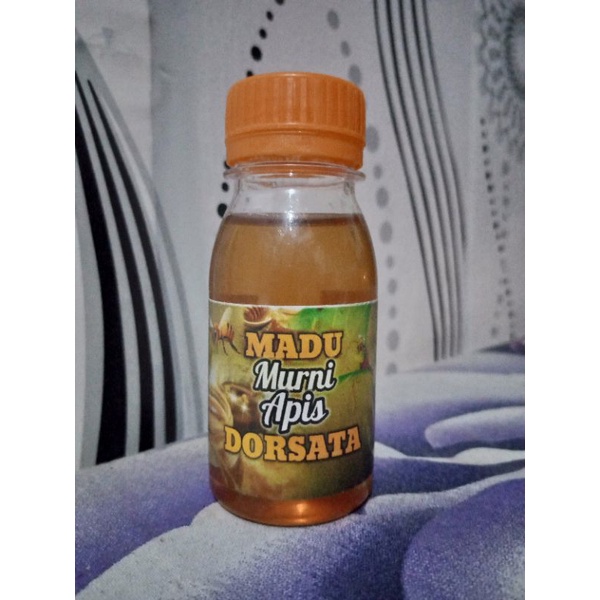 

madu manis murni apis dorsata
