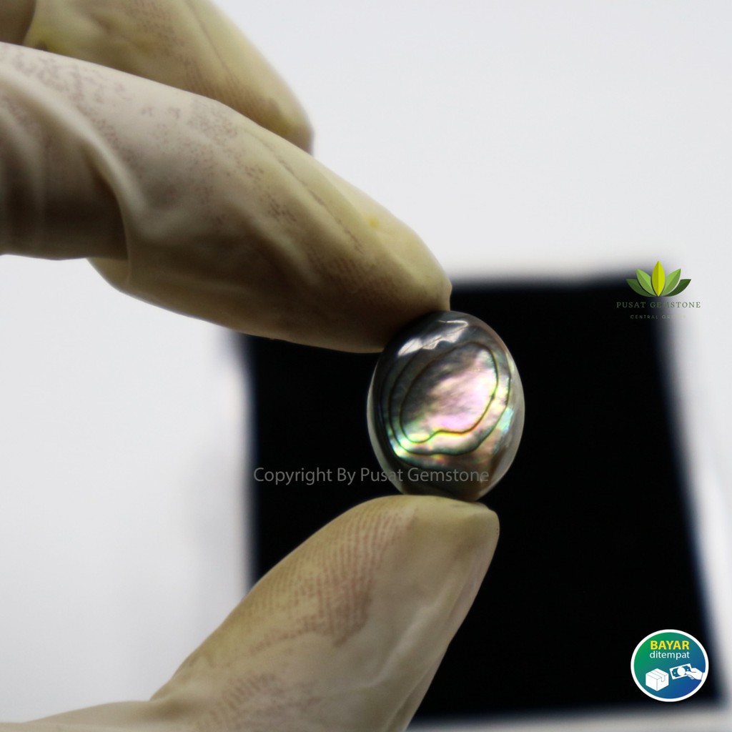 Batu Akik Kerang Jarong