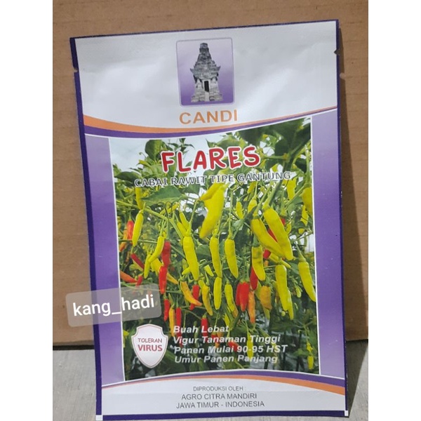 Benih Cabai Rawit FLARES - 10gr Cap Candi (100% Originali