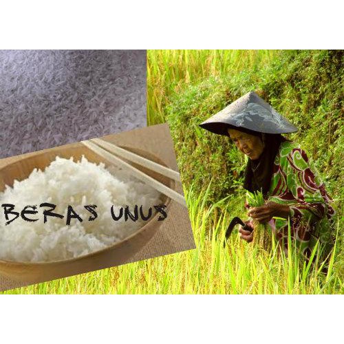 Beras Siam Unus Beras Banjar Kalsel Shopee Indonesia