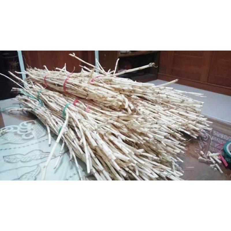 

Akar alang alang segar 500grm