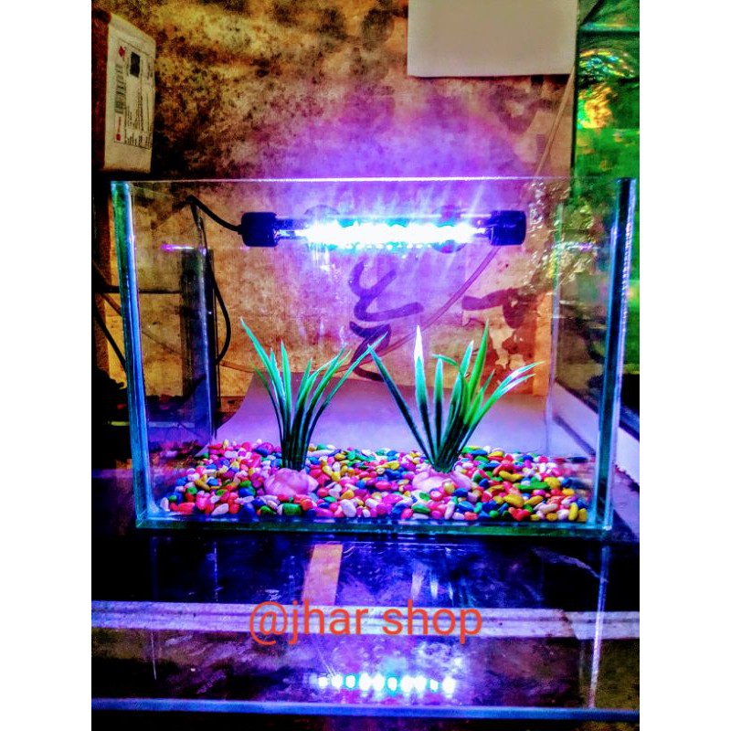aquarium aquascape soliter full set uk 25x12x18 bagus untuk ikan cupang/gepy