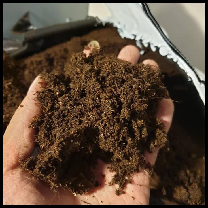 250G KLASMANN PEATMOSS