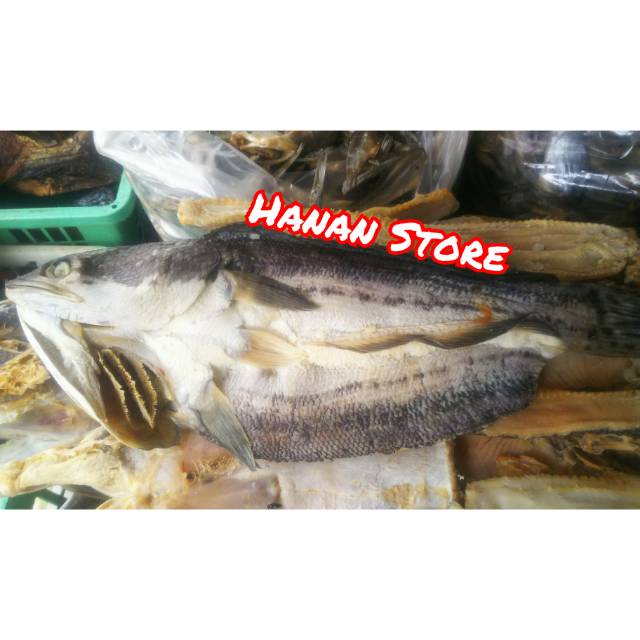 

IKAN ASIN TOMAN | 500 GR | TANPA FOR MALIN | TANPA PENGAWET | IKAN ASIN GABUS | ASLI KALIMANTAN BARAT