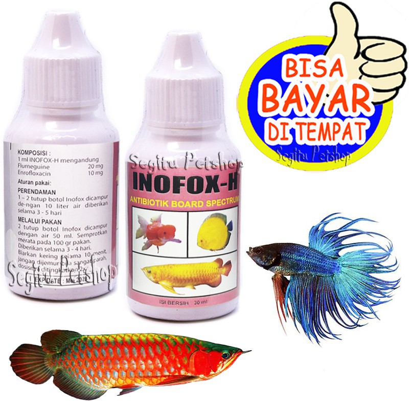 OBAT IKAN ANTIBIOTIK PENGHILANG JAMUR LUKA CUPANG MAS KOKI ARWANA OBAT HIYAS INOFOX H
