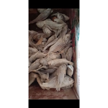 

kepalabatu(1000gram)