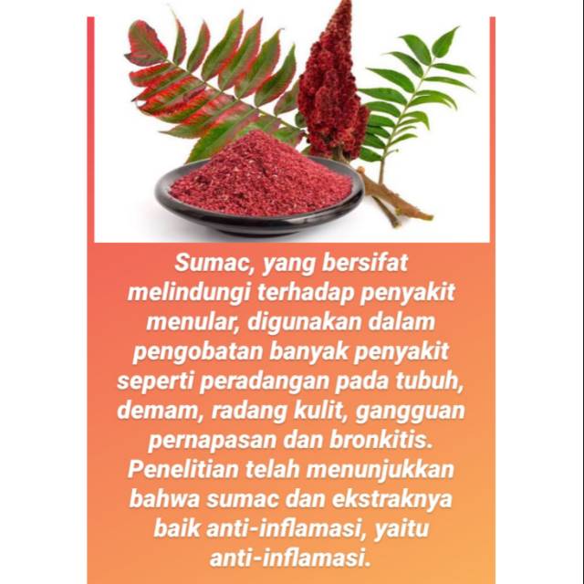 Jual sumac anti virus vitamin C obat demam obat pilek sumac turkey