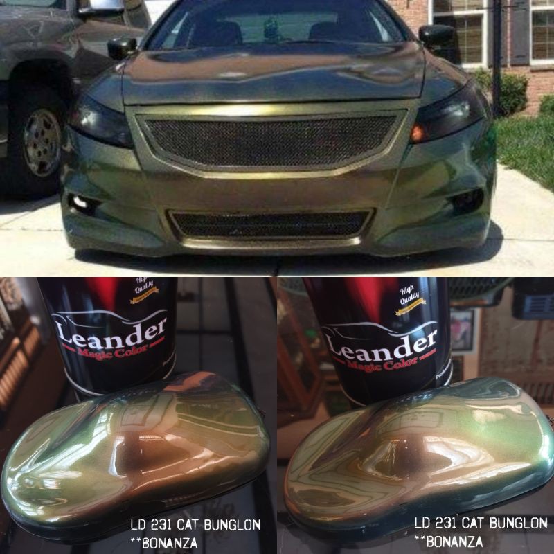 cat bunglon chameleon bonanza Leander