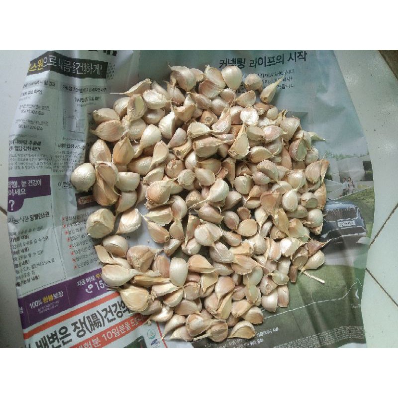 

bawang putih kating bersih 1kg