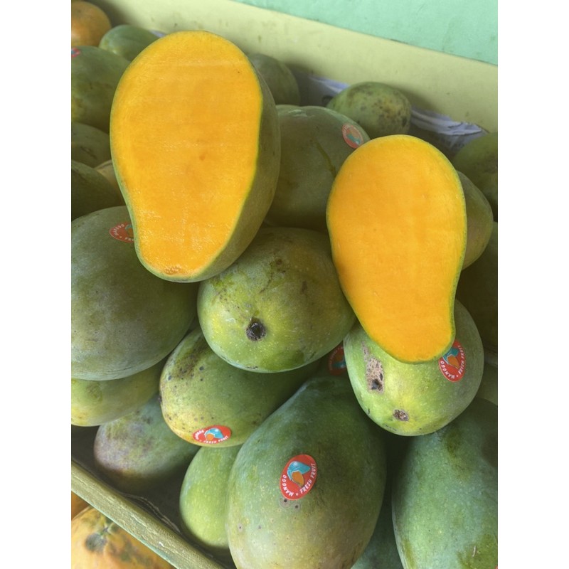 

mangga harum manis super fresh 1kg
