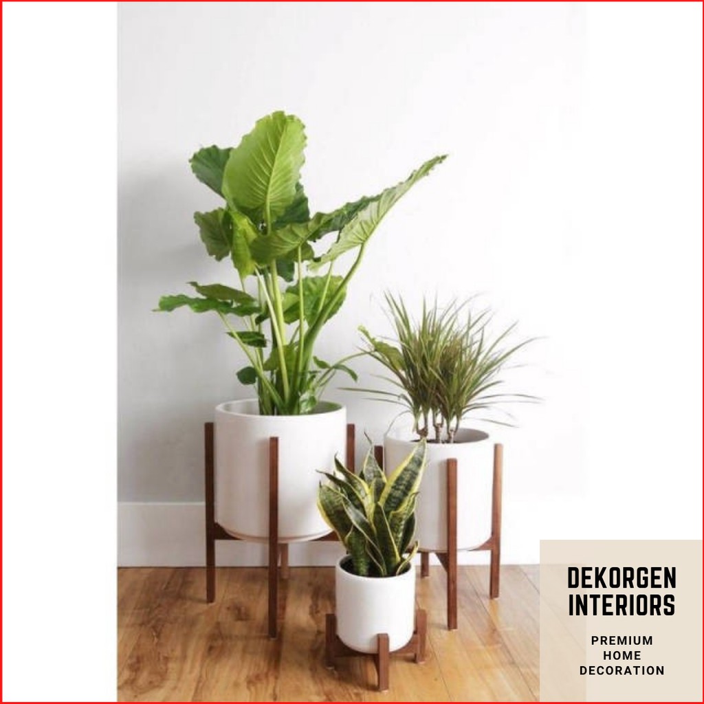 Rak Bunga Standing Pot Tanaman Bunga Rak Bunga Kayu Pot Bunga Kayu Standing Pot Premium