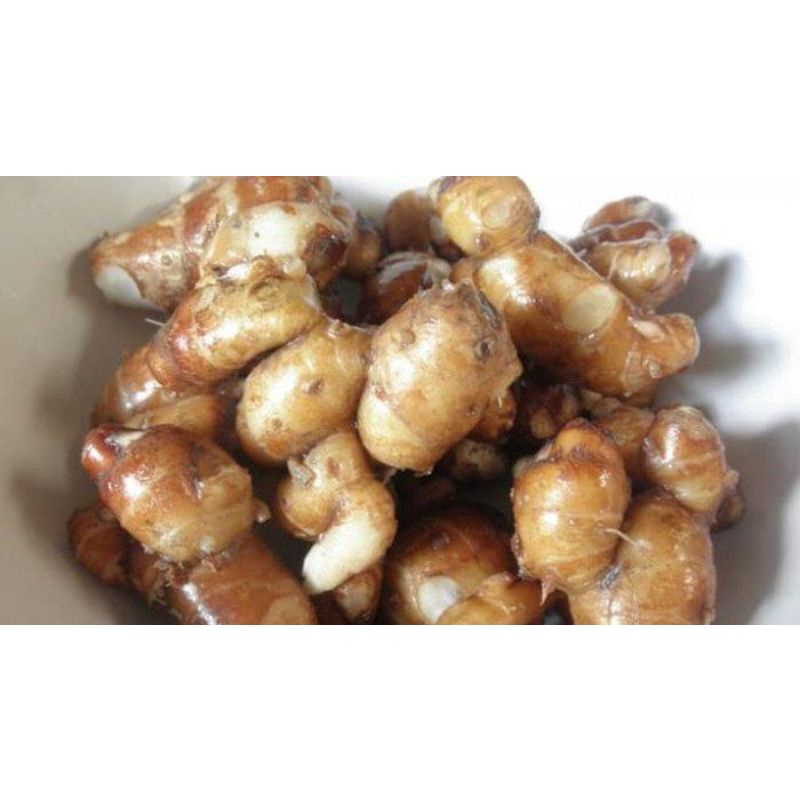 

kencur/cikur ( satu bungkus)