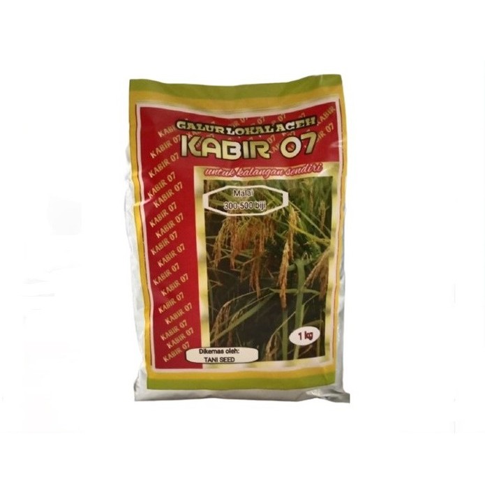 Benih Padi Inbrida Kabir 07